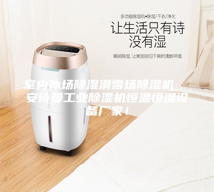 室內冰場除濕滑雪場除濕機 安詩曼工業除濕機恒溫恒濕設備廠家!