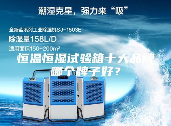 恒溫恒濕試驗(yàn)箱十大品牌哪個牌子好？
