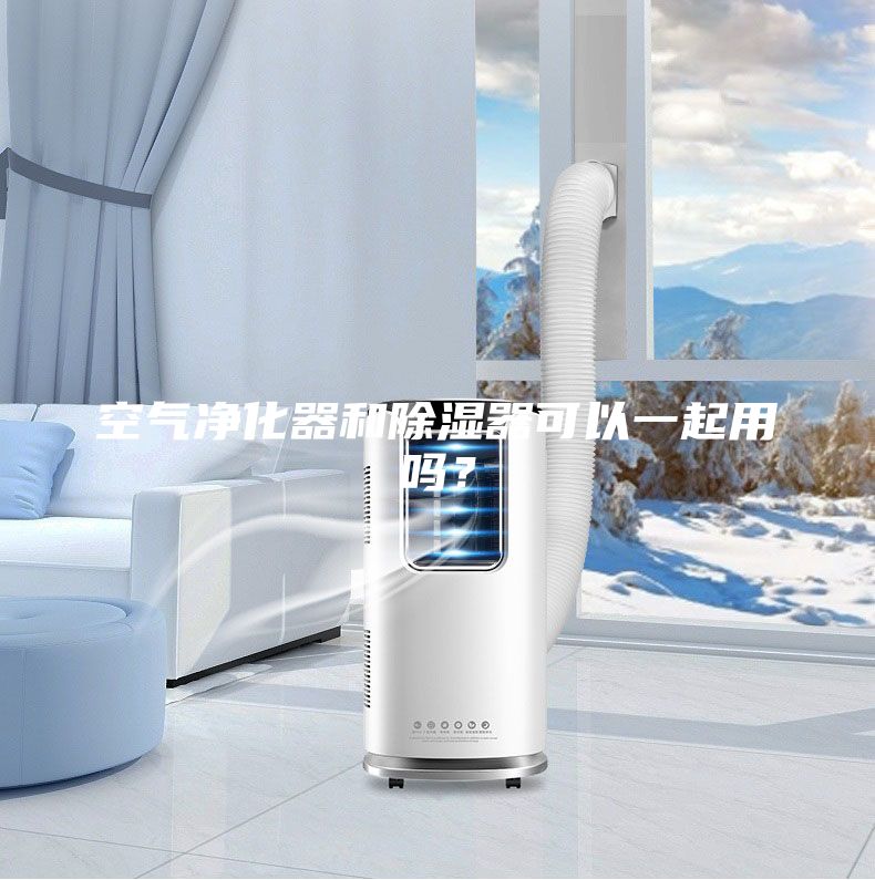 空氣凈化器和除濕器可以一起用嗎？