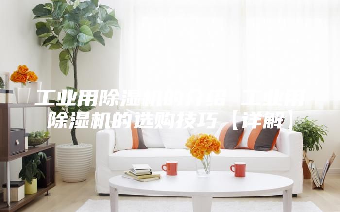 工業(yè)用除濕機(jī)的介紹 工業(yè)用除濕機(jī)的選購技巧【詳解】