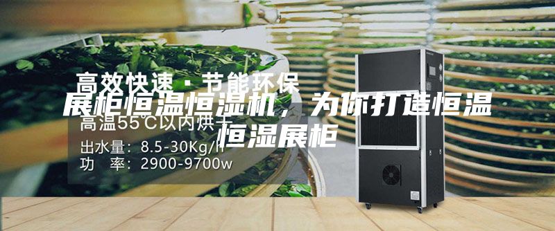 展柜恒溫恒濕機(jī)，為你打造恒溫恒濕展柜