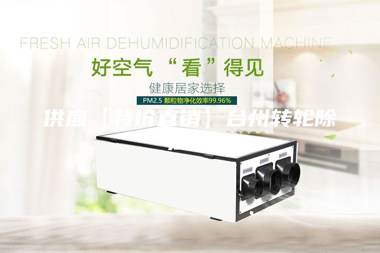 供應(yīng)【特價(jià)直銷】臺(tái)州轉(zhuǎn)輪除濕機(jī)