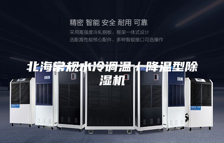 北海常規(guī)水冷調(diào)溫／降溫型除濕機(jī)