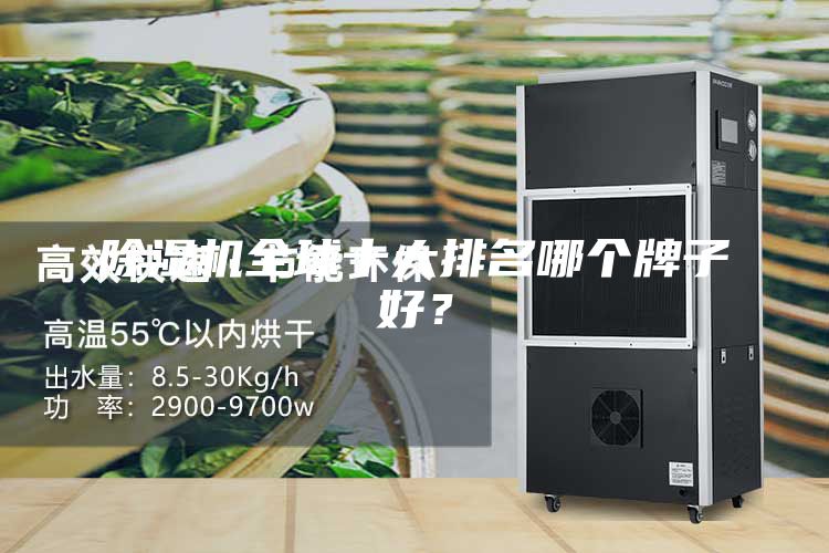 除濕機全球十大排名哪個牌子好？