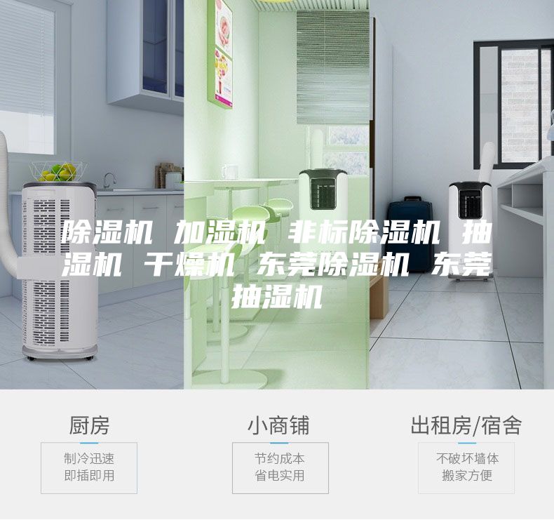 除濕機 加濕機 非標(biāo)除濕機 抽濕機 干燥機 東莞除濕機 東莞抽濕機