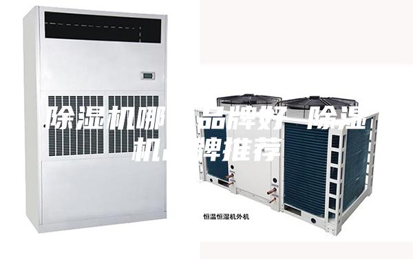 除濕機(jī)哪個品牌好 除濕機(jī)品牌推薦