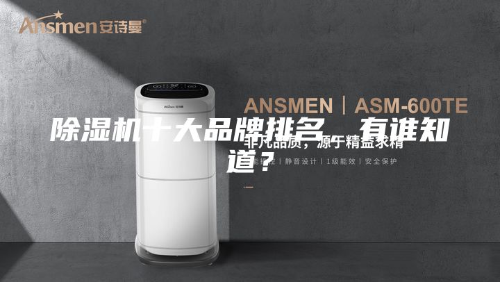 除濕機十大品牌排名，有誰知道？