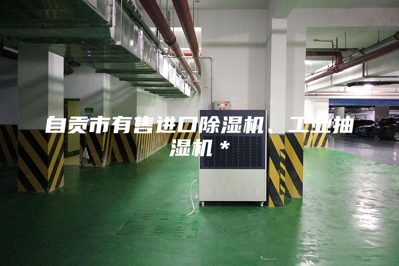 自貢市有售進(jìn)口除濕機(jī)、工業(yè)抽濕機(jī)*