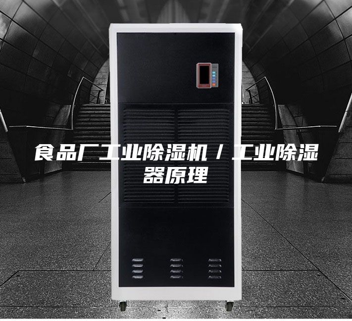 食品廠工業(yè)除濕機(jī)／工業(yè)除濕器原理