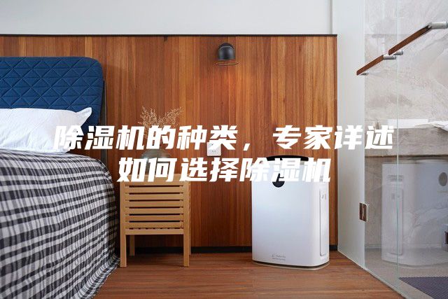 除濕機的種類,專家詳述如何選擇除濕機