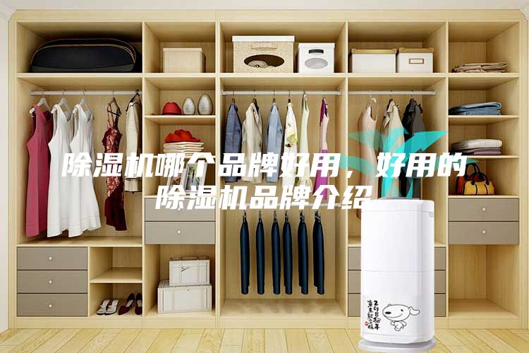 除濕機哪個品牌好用，好用的除濕機品牌介紹