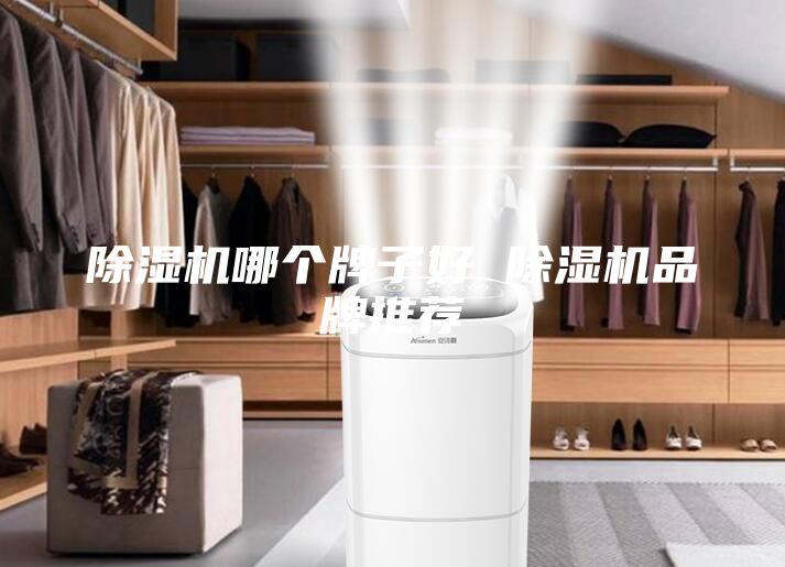除濕機(jī)哪個(gè)牌子好 除濕機(jī)品牌推薦