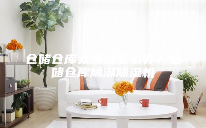 倉儲倉庫太潮濕怎么辦？倉儲倉庫除潮除濕機