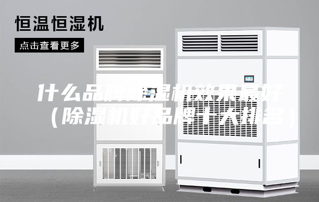 什么品牌除濕機效果最好(除濕機好品牌十大排名)