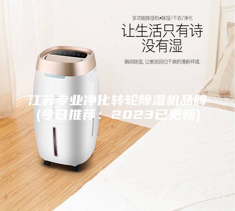 江蘇專業(yè)凈化轉(zhuǎn)輪除濕機(jī)品牌(今日推薦：2023已更新)