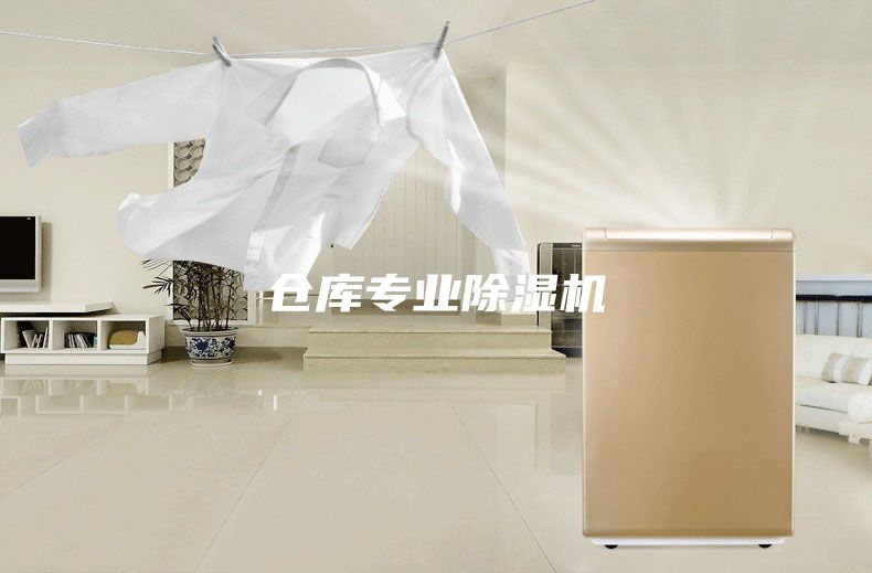 倉(cāng)庫(kù)專(zhuān)業(yè)除濕機(jī)