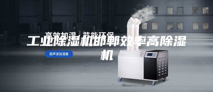工業(yè)除濕機邯鄲效率高除濕機