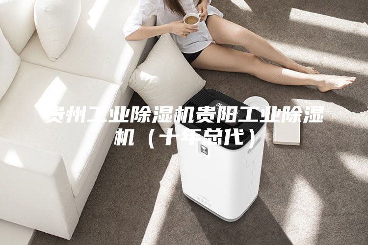 貴州工業(yè)除濕機(jī)貴陽(yáng)工業(yè)除濕機(jī)(十年總代)
