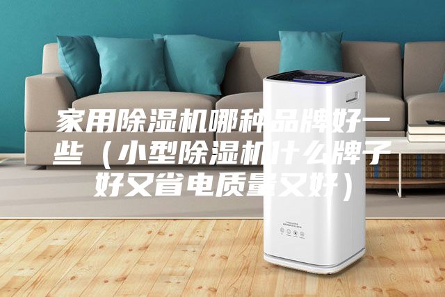 家用除濕機哪種品牌好一些（小型除濕機什么牌子好又省電質量又好）