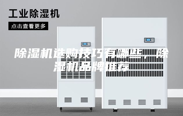 除濕機選購技巧有哪些，除濕機品牌推薦