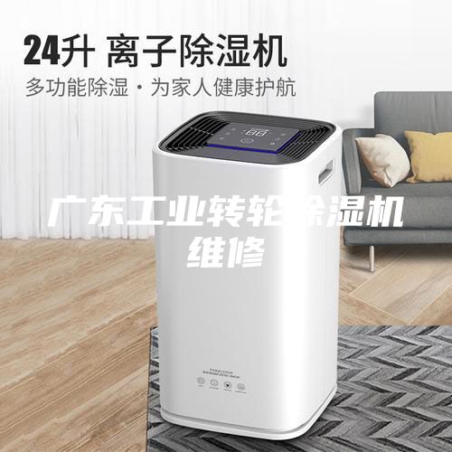 廣東工業轉輪除濕機維修