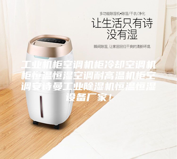 工業機柜空調機柜冷卻空調機柜恒溫恒濕空調耐高溫機柜空調安詩曼工業除濕機恒溫恒濕設備廠家！