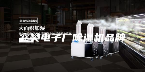 襄樊電子廠除濕機(jī)品牌