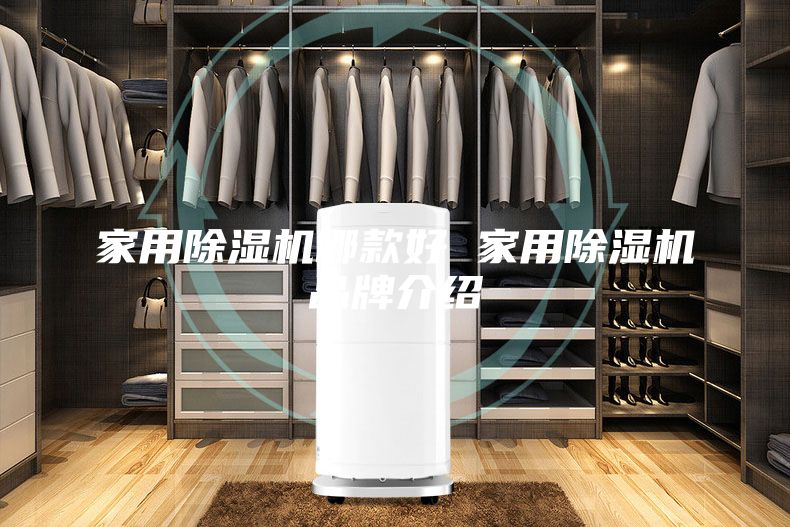 家用除濕機(jī)哪款好 家用除濕機(jī)品牌介紹