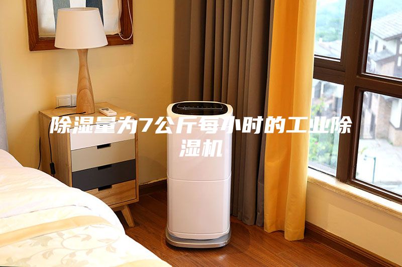 除濕量為7公斤每小時的工業除濕機