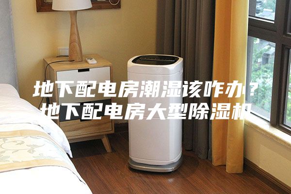 地下配電房潮濕該咋辦？地下配電房大型除濕機