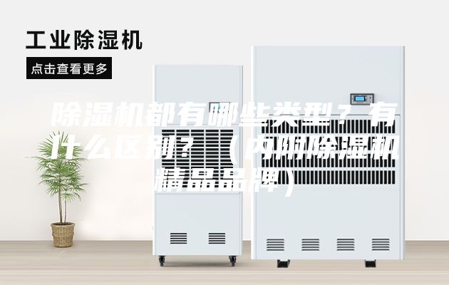 除濕機都有哪些類型？有什么區別？（內附除濕機精品品牌）