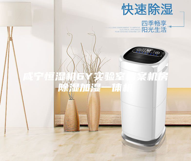 咸寧恒濕機(jī)6Y實(shí)驗(yàn)室檔案機(jī)房除濕加濕一體機(jī)