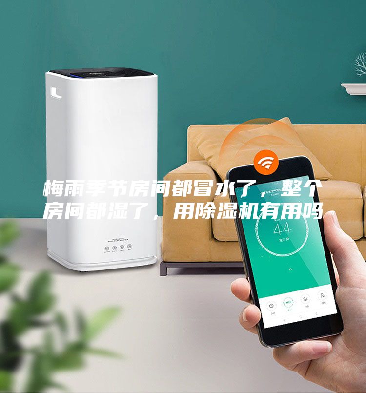 梅雨季節房間都冒水了，整個房間都濕了，用除濕機有用嗎