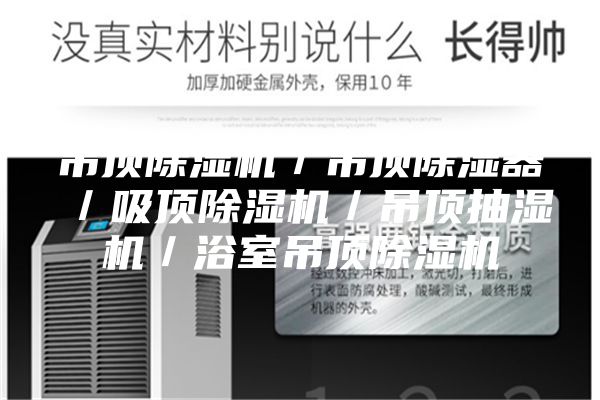 吊頂除濕機／吊頂除濕器／吸頂除濕機／吊頂抽濕機／浴室吊頂除濕機