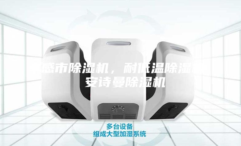 孝感市除濕機，耐低溫除濕機  安詩曼除濕機