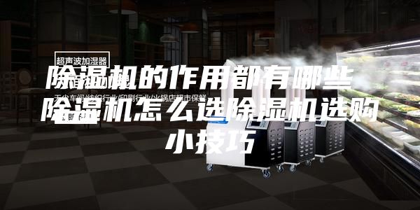 除濕機(jī)的作用都有哪些 除濕機(jī)怎么選除濕機(jī)選購小技巧