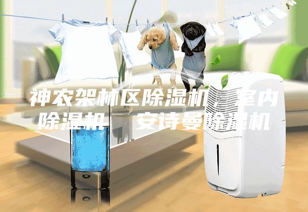 神農架林區除濕機，室內除濕機  安詩曼除濕機