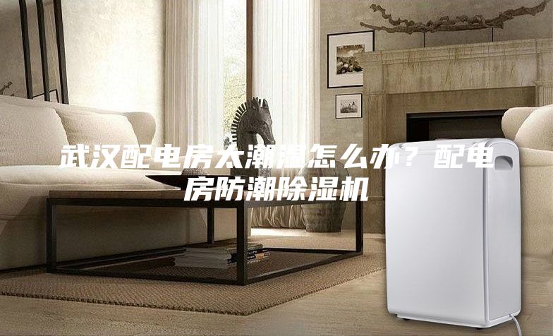 武漢配電房太潮濕怎么辦？配電房防潮除濕機(jī)