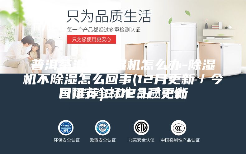 普洱茶沒有除濕機怎么辦-除濕機不除濕怎么回事(12月更新/今日推薦)2023已更新