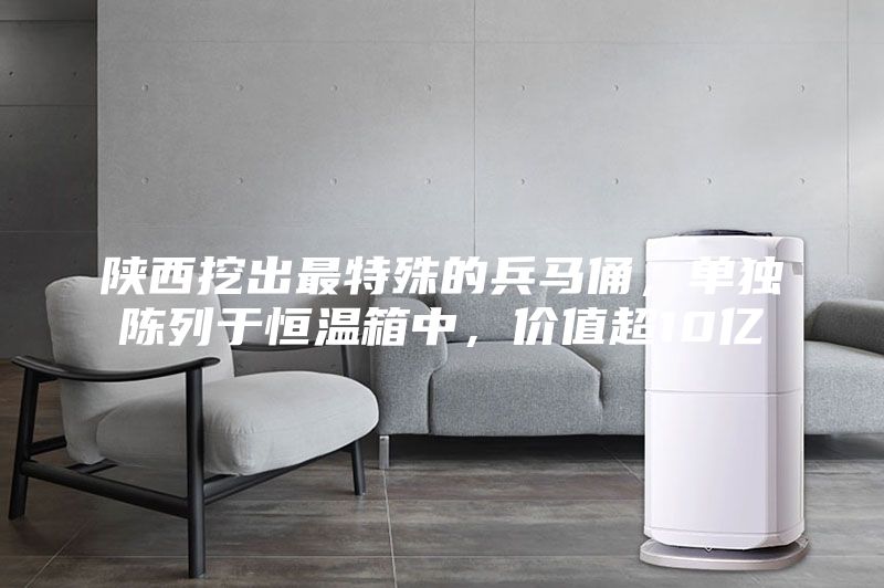 陜西挖出最特殊的兵馬俑，單獨陳列于恒溫箱中，價值超10億