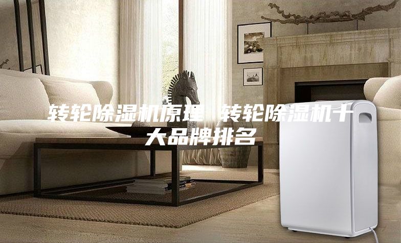 轉輪除濕機原理 轉輪除濕機十大品牌排名