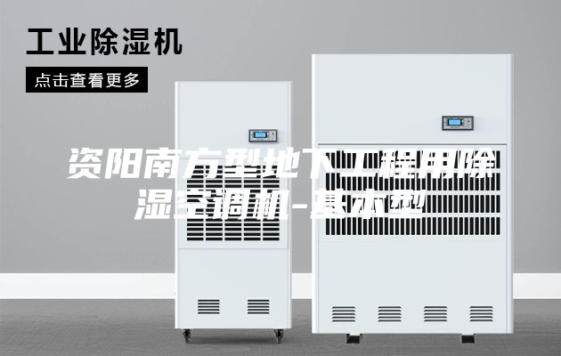資陽南方型地下工程用除濕空調機-基本型