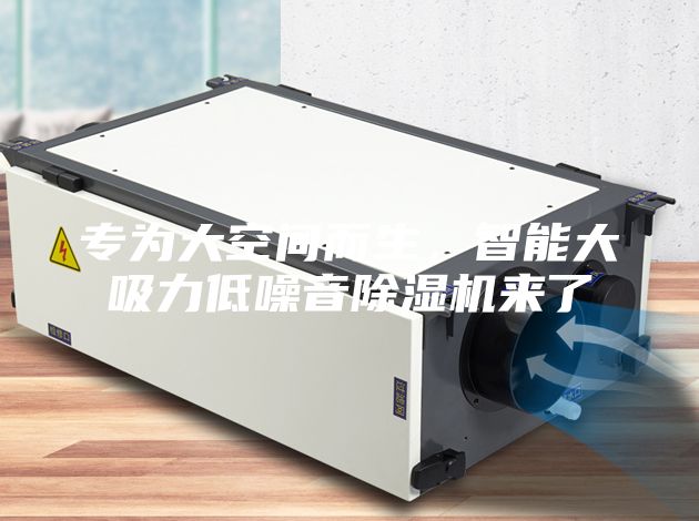 專為大空間而生，智能大吸力低噪音除濕機來了