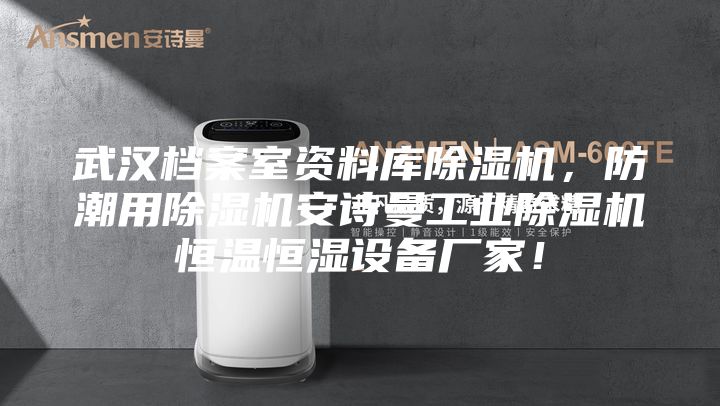 武漢檔案室資料庫除濕機，防潮用除濕機安詩曼工業除濕機恒溫恒濕設備廠家！