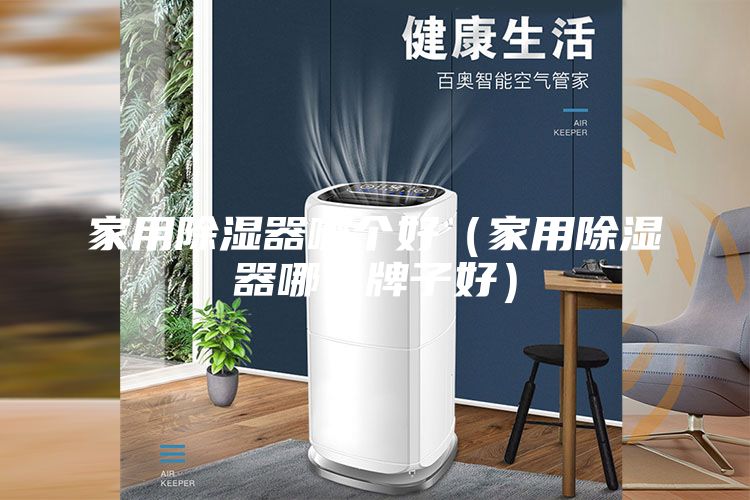 家用除濕器哪個好(家用除濕器哪個牌子好)