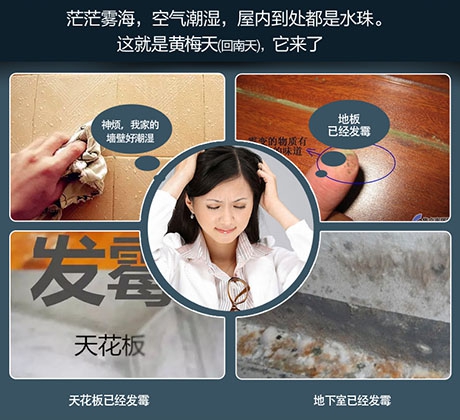 養豬舍濕氣大，使用工業除濕機