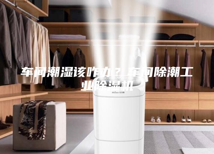 車間潮濕該咋辦?車間除潮工業(yè)除濕機
