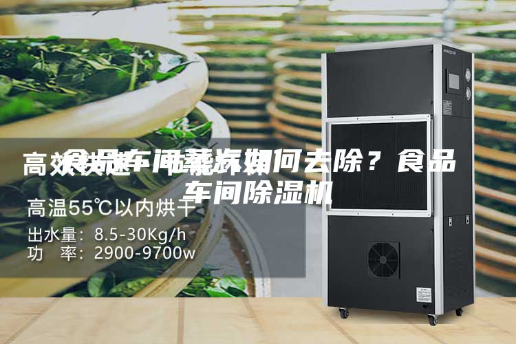食品車間蒸汽如何去除?食品車間除濕機