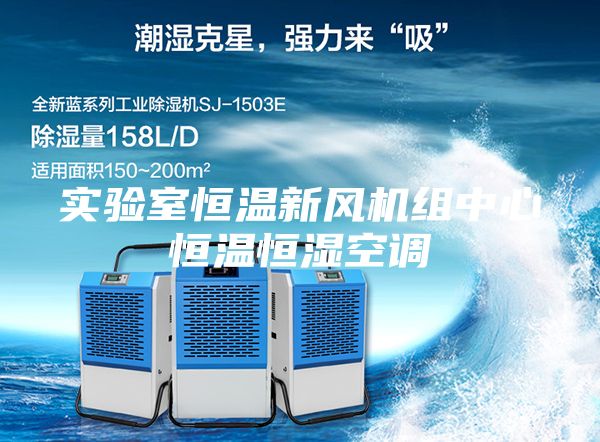 實驗室恒溫新風機組中心恒溫恒濕空調