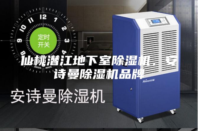 仙桃潛江地下室除濕機(jī),安詩曼除濕機(jī)品牌